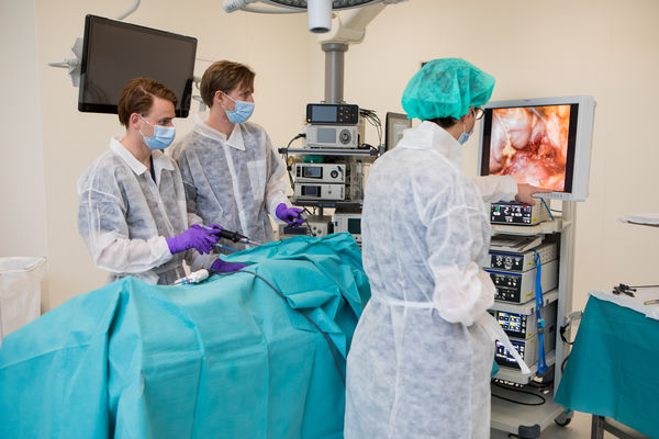 Laparoscopic training session with live imaging and data feedback during the hackathon